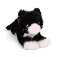 Gosedjur katt att gosa med