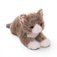 Gosedjur katt att gosa med